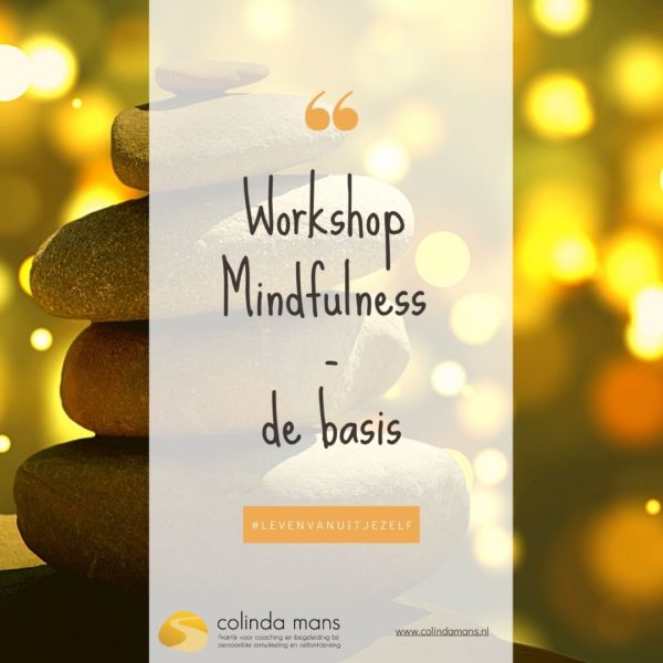 Workshop Mindfulness-de basis